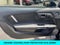 2021 Ford Mustang Shelby GT500