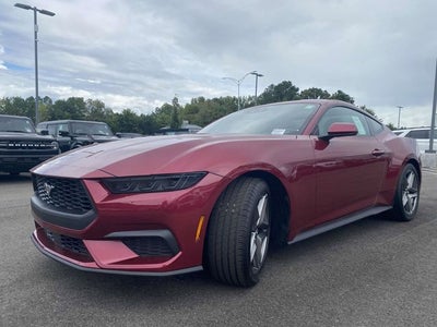 2025 Ford Mustang EcoBoost