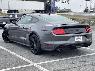 2023 Ford Mustang EcoBoost