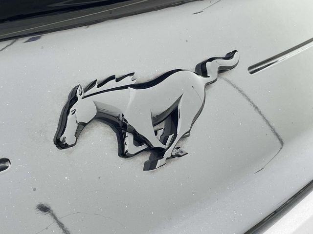 2023 Ford Mustang EcoBoost