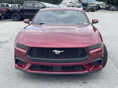 2025 Ford Mustang EcoBoost