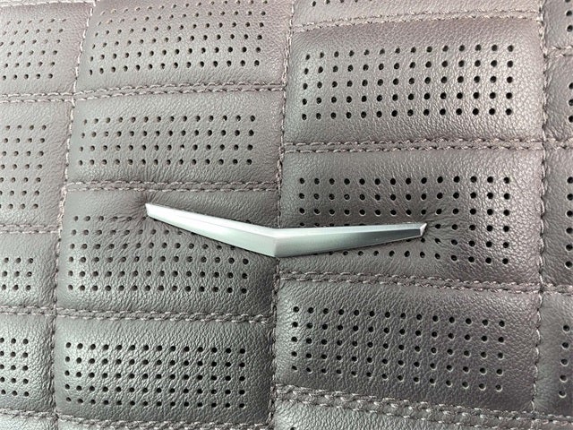 2024 Cadillac Escalade ESV Premium Luxury Platinum