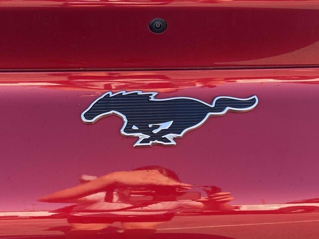2024 Ford Mustang Mach-E Select