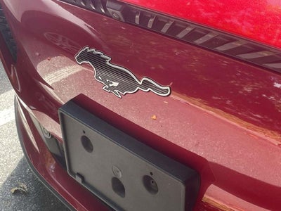 2024 Ford Mustang Mach-E Select