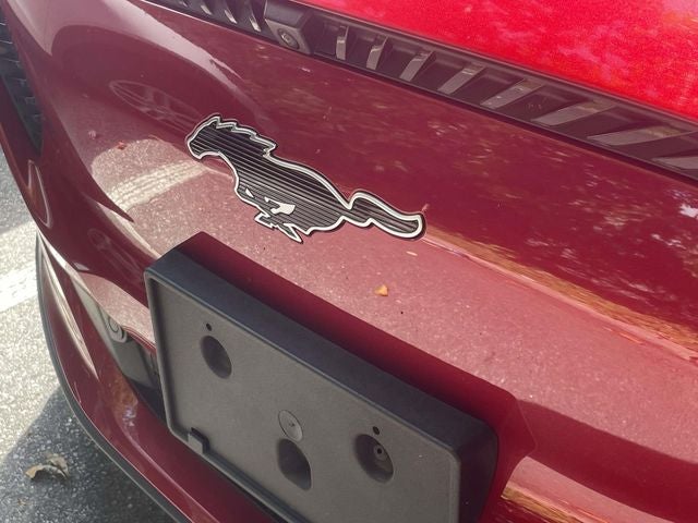 2024 Ford Mustang Mach-E Select
