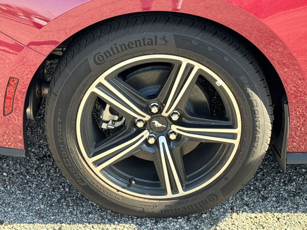 2025 Ford Mustang EcoBoost