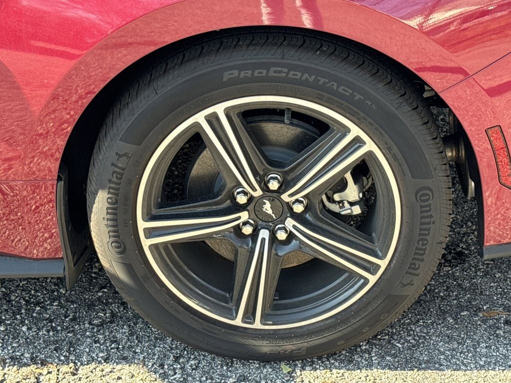 2025 Ford Mustang EcoBoost