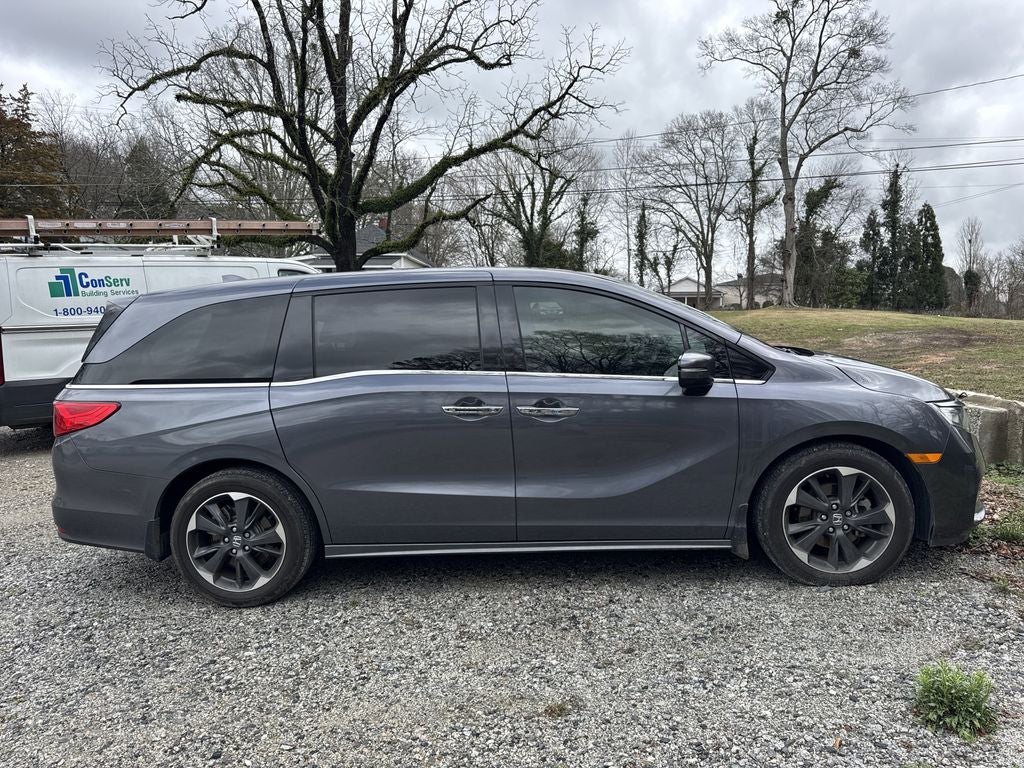 2024 Honda Odyssey Elite