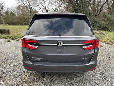 2024 Honda Odyssey Elite
