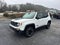 2015 Jeep Renegade Trailhawk