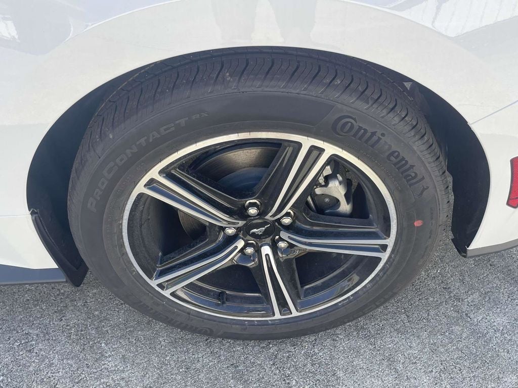 2025 Ford Mustang EcoBoost