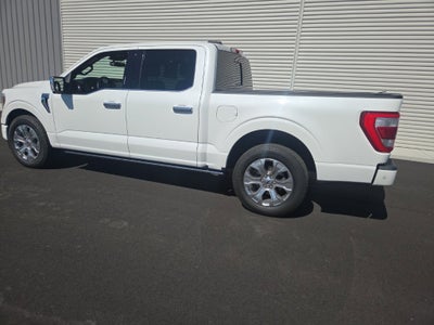 2023 Ford F-150 Platinum