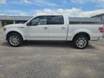 2013 Ford F-150 Platinum