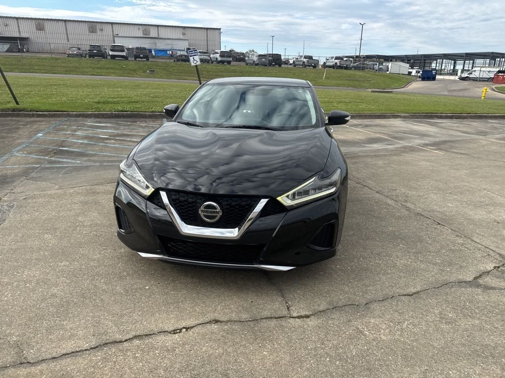 2019 Nissan Maxima 3.5 SV