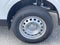 2026 Ford Maverick XL Commercial