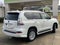 2020 Lexus GX 460